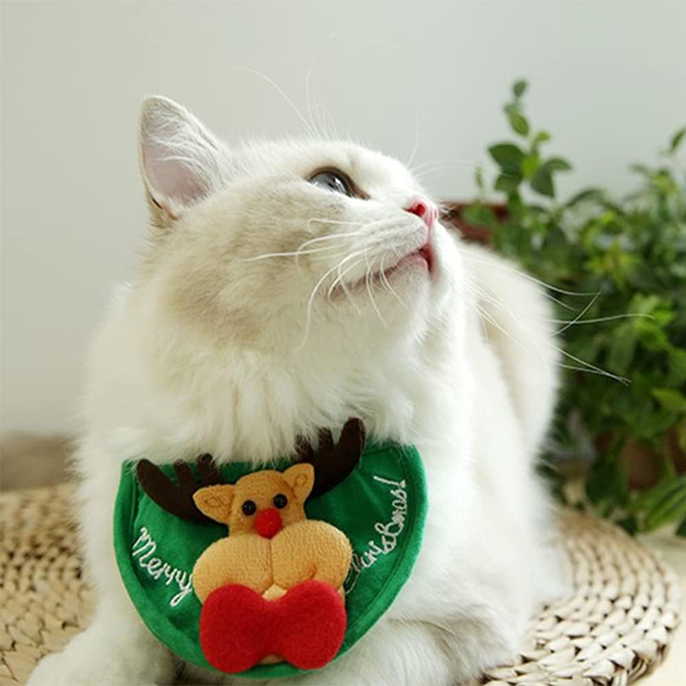 Adorable chapeau de fête pour animal de compagnie