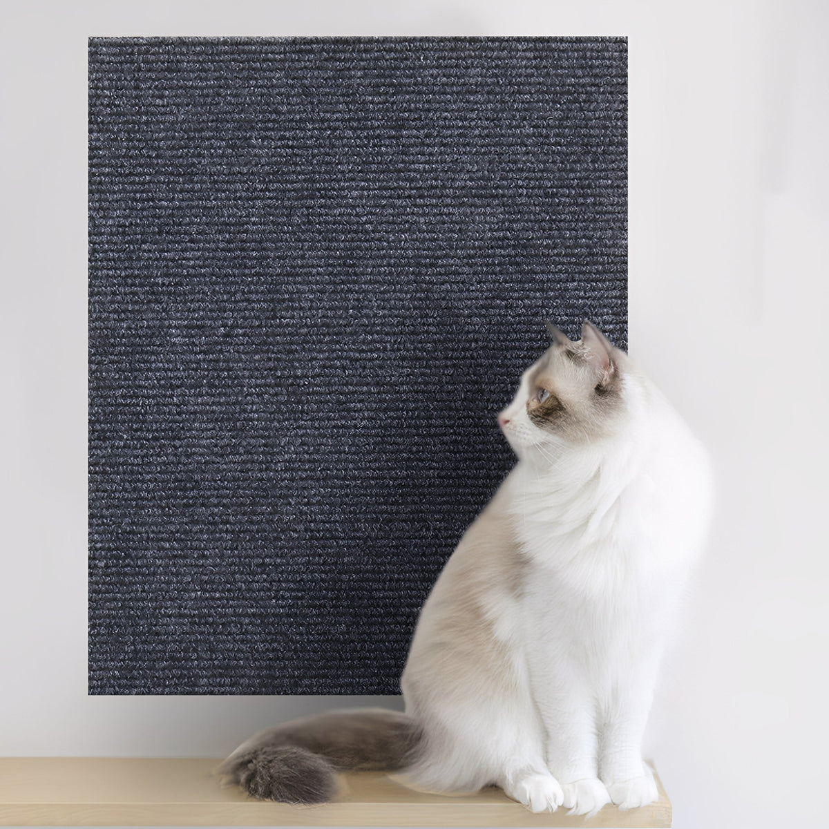 Griffoir autocollant pour chat et protège-meuble
