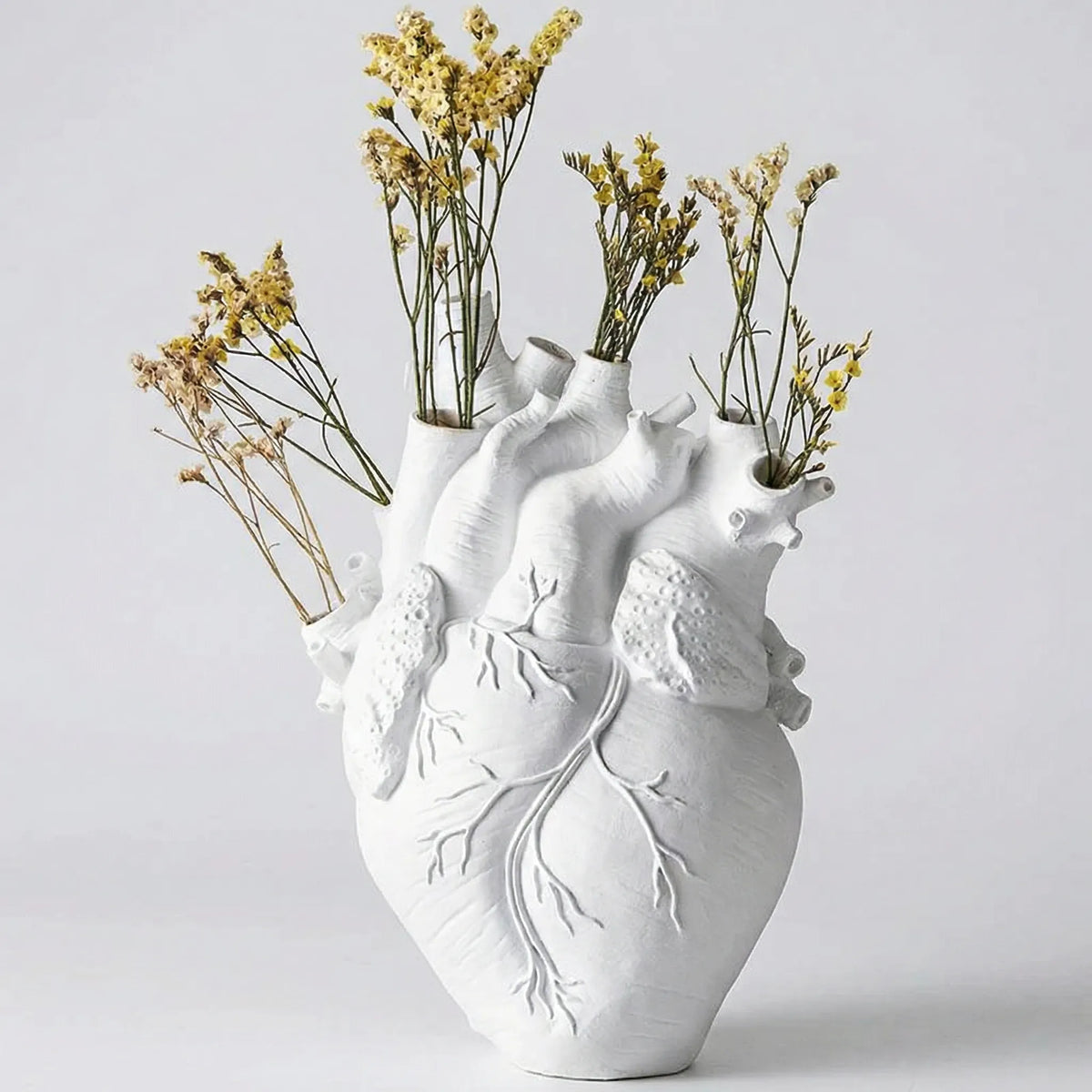 Anatomical Heart Vase