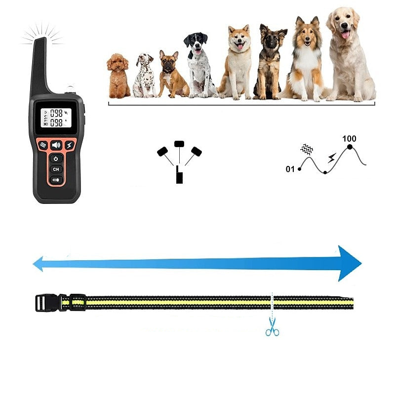 AquaStride Pro 1000m Waterproof Dog Training Collar