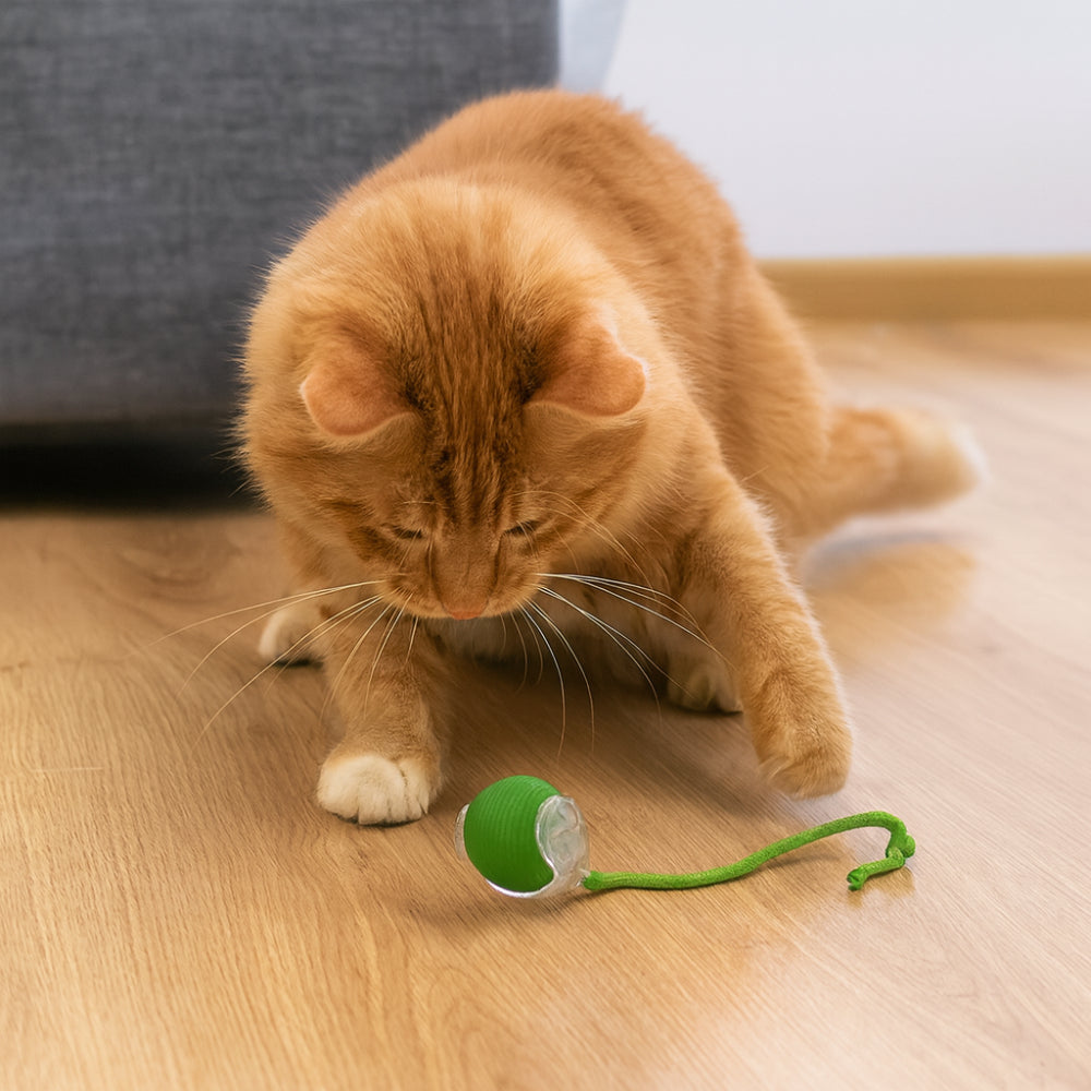 Automatic Chase Ball Cat Toy – Motorized Rolling Sphere with Unpredictable Movement