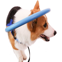 Collier Harnais Guide pour Chien Aveugle pour Promenades Quotidiennes Sûres