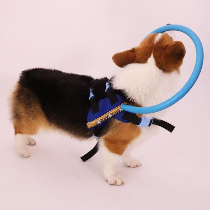 BrightGuide Bumper Collar Harness For Blind Dogs Daily Walk