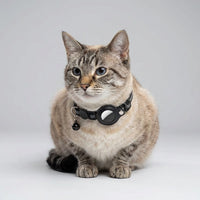 Cat GPS Collar with Real-Time Tracking & Safety