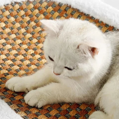 Cat Scratcher Bed and Couch with Plush Fleece Bolster and Woven Mat
