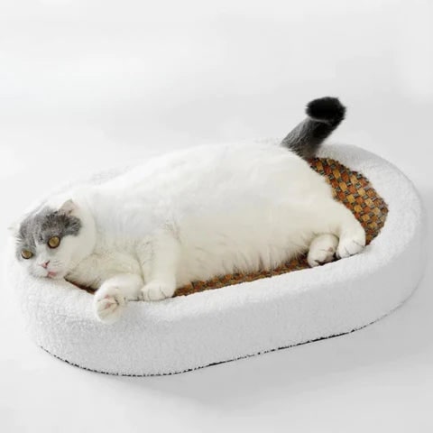 Cat Scratcher Bed and Couch with Plush Fleece Bolster and Woven Mat