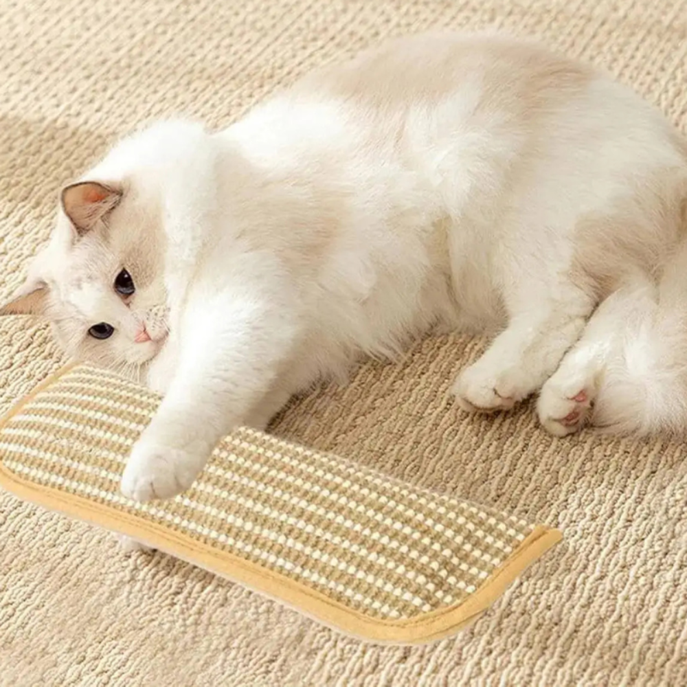 Cat Scratching Pillow with Durable Scratching Surface