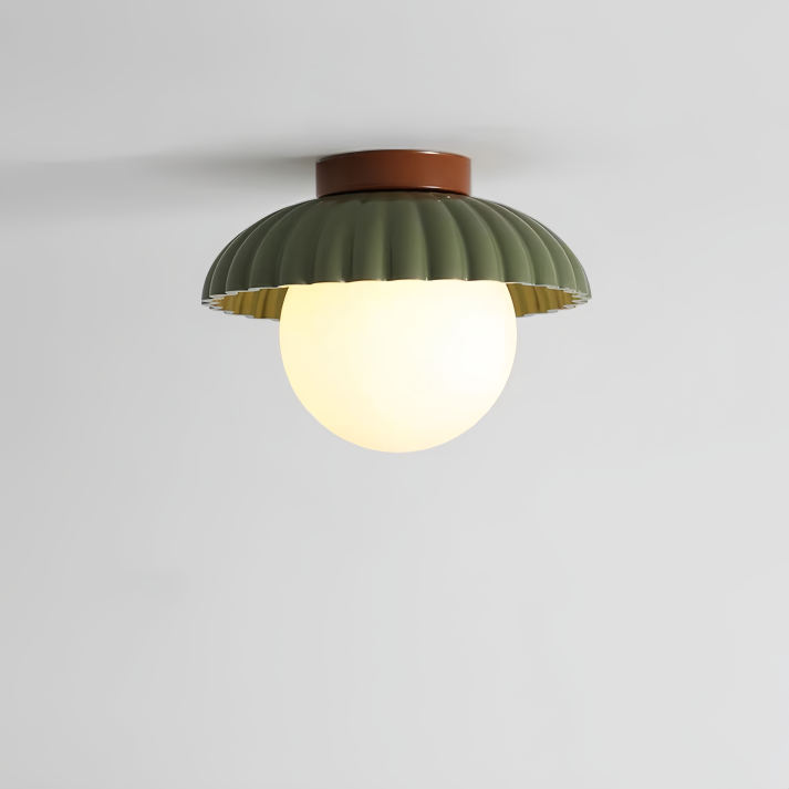Ceiling lamp with a frosted shade providing warm lighting in the hallway
