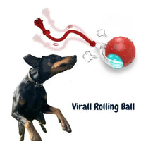 ChewRoll • Jouet balle roulante