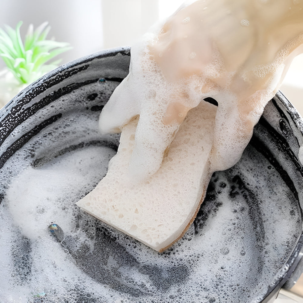 Coconut Fiber Natural Dish Sponge