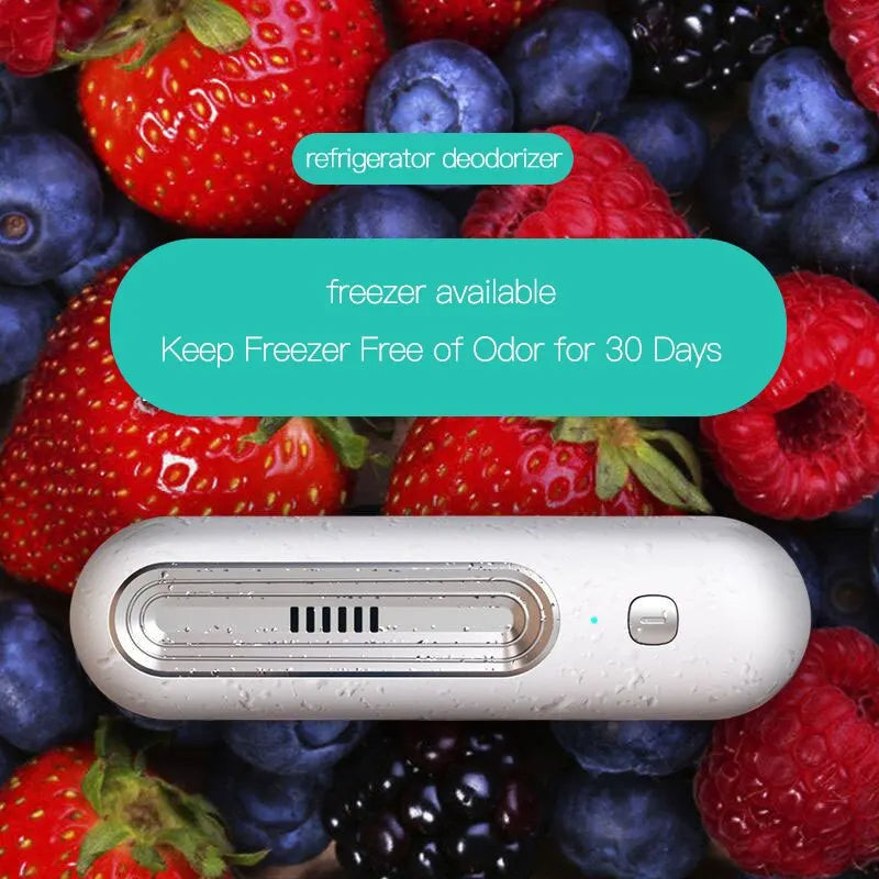 Purificateur d'air compact et désodorisant pour réfrigérateur