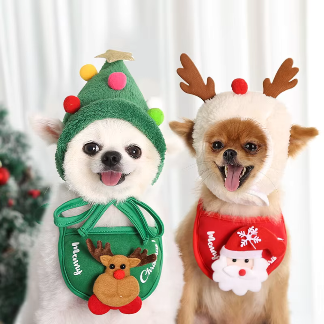 Adorable chapeau de fête pour animal de compagnie
