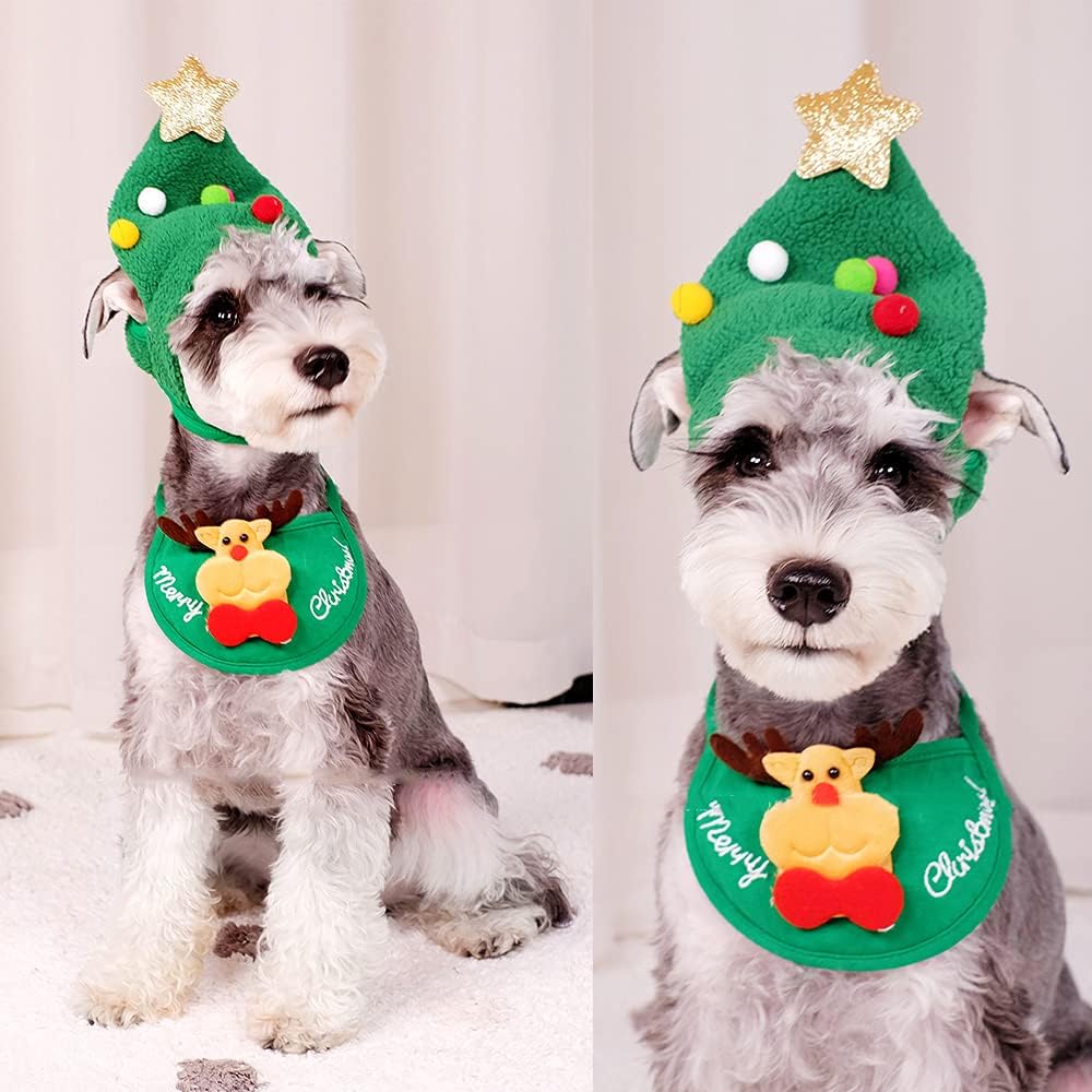 Adorable chapeau de fête pour animal de compagnie