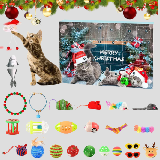 Davy | Advent Calendar for Cats, 24 Days of Fun Surprises