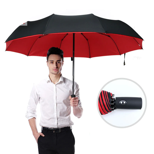 Davy | Automatic Windproof Storm Umbrella