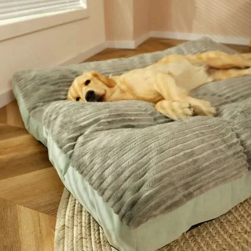 Davy | Cozy and supportive for restful nights