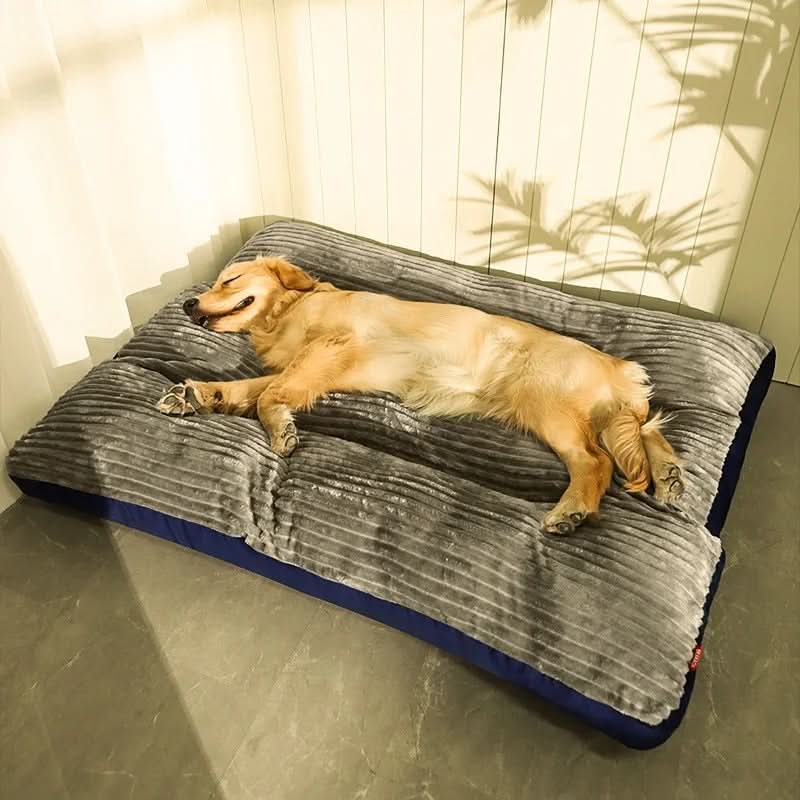 Davy | Cozy and supportive for restful nights