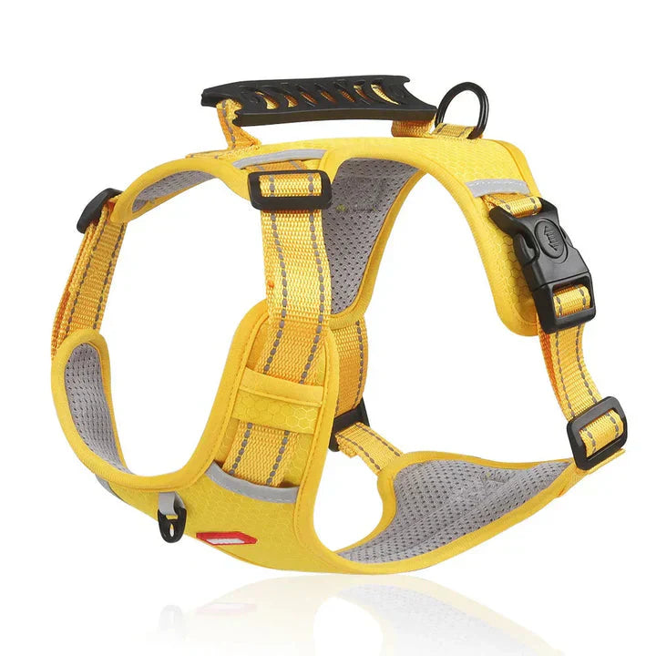 Davy | Dog No-Pull Harness with Padded Comfort and Reflective Accents
