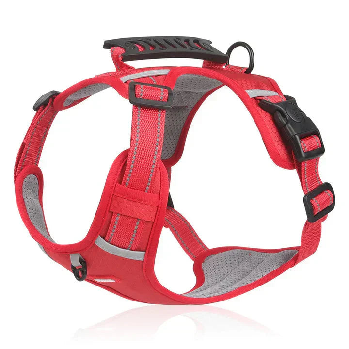 Davy | Dog No-Pull Harness with Padded Comfort and Reflective Accents