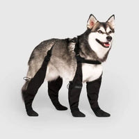 Davy | Protectores para patas de perro con correas