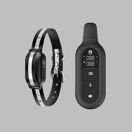 Davy | Dog Training Collar with Remote