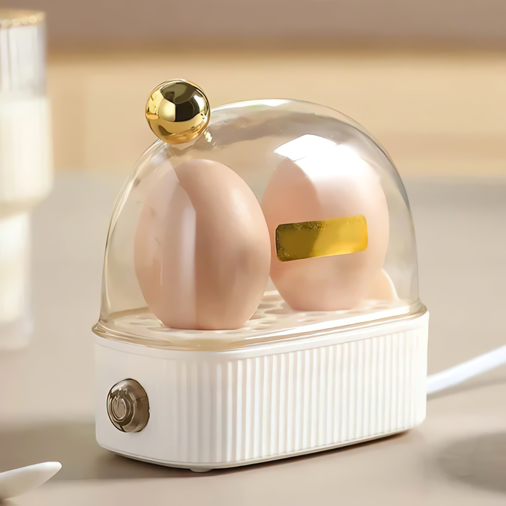Davy | Electric Egg Cooker Steamer for Breakfast