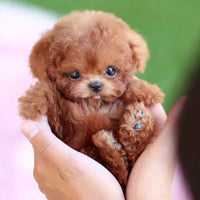 Davy | FurMotion Friend – Peluche réaliste de chien pour enfants et collectionneurs