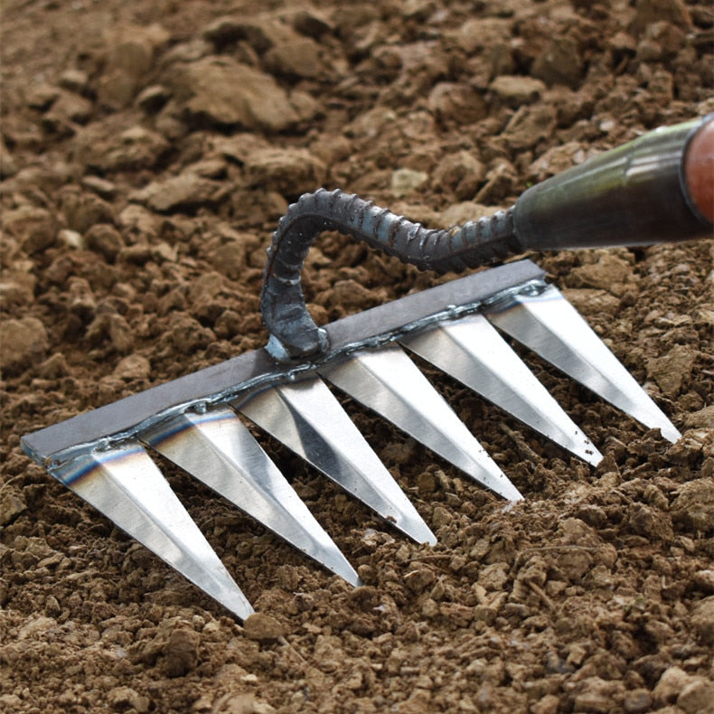 Davy | Garden Tool Rake with Sharp Teeth for Weeding