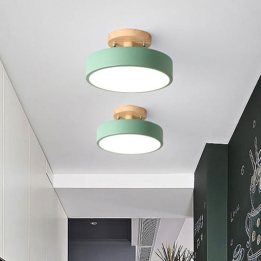 Davy | LED Ceiling Light | Integrated LED with Color Temperature Selection