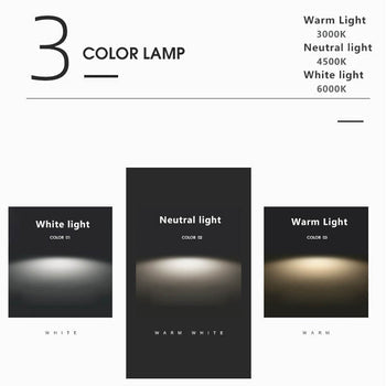 Davy LED Round Ceiling Lamp | Nordic Design | Semi-Flush Mounting | Economic Indoor Lighting
