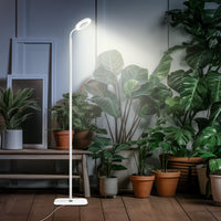 Davy | Lampe de Croissance LED Réglable pour Plantes d'Intérieur