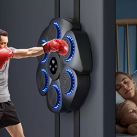 Davy | Music Boxing Pad with Targeting Features
