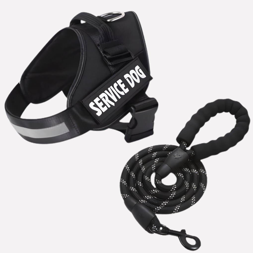 Davy | Personalized Front-Clip Dog Harness for No-Pull Walking