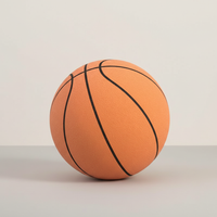 Davy | Basket intérieur silencieux | Mousse douce | Ballon d'entraînement à domicile | Bon rebond