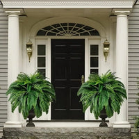 Davy | UV Resistant Lifelike Artificial Boston Fern