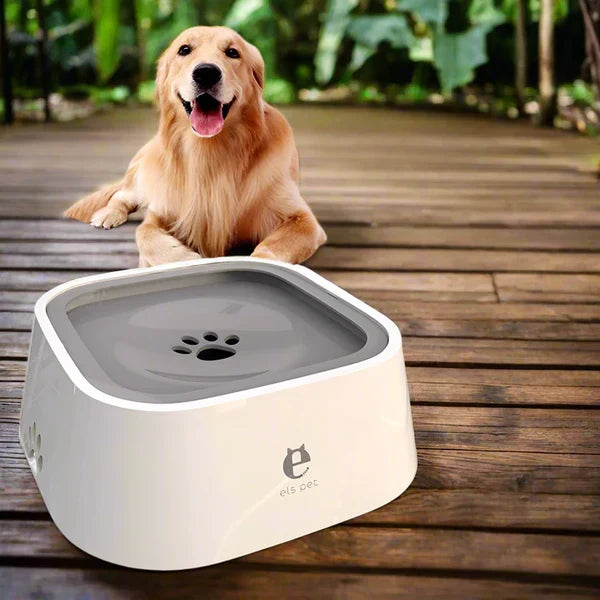 Dog Water Bowl