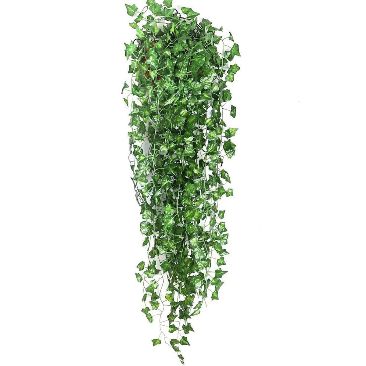 Guirlande de lierre persistant | Feuilles vert vif quelle que soit la saison