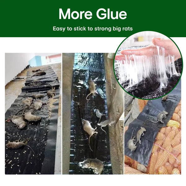 Heavy-Duty Rat Glue Trap | Extra-Strong Adhesive Formula | Odorless