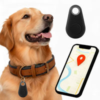Kirra Traceur GPS Chien, Étanche, Alertes en Temps Réel