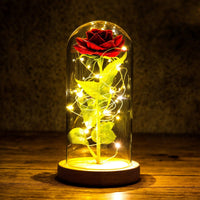 Rosa eterna LED