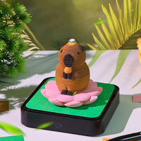 Magic Calendar 2026 – Capybara with Lights