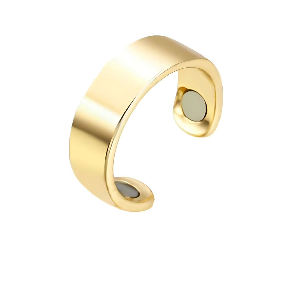 Bague de guérison magnétique en acier inoxydable