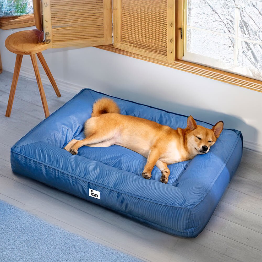 Panier orthopédique imperméable pour chien