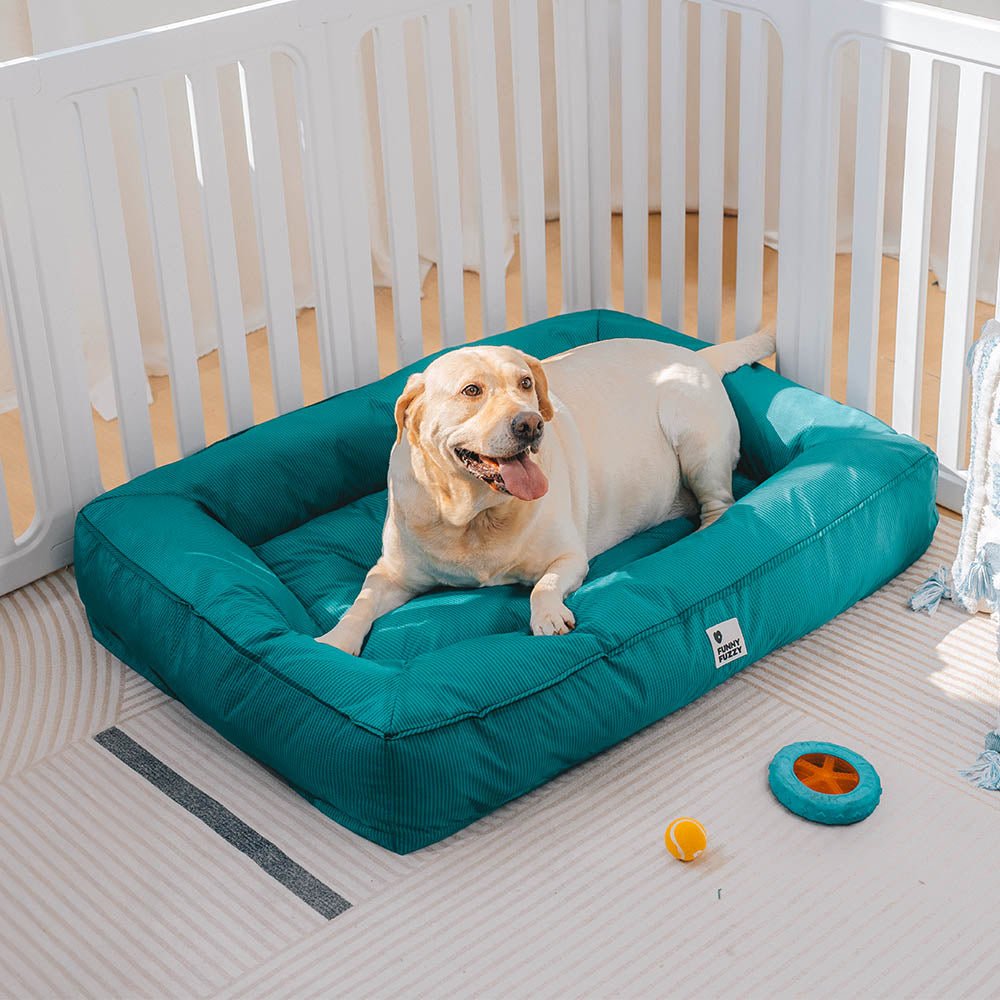 Panier orthopédique imperméable pour chien