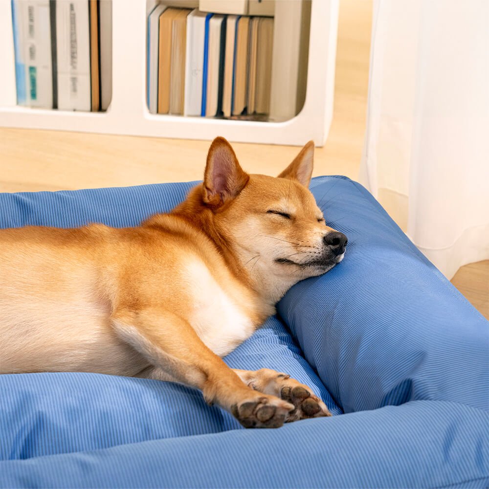 Panier orthopédique imperméable pour chien