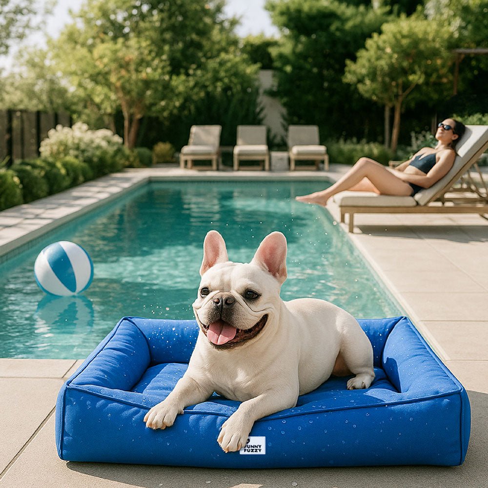 Panier orthopédique imperméable pour chien