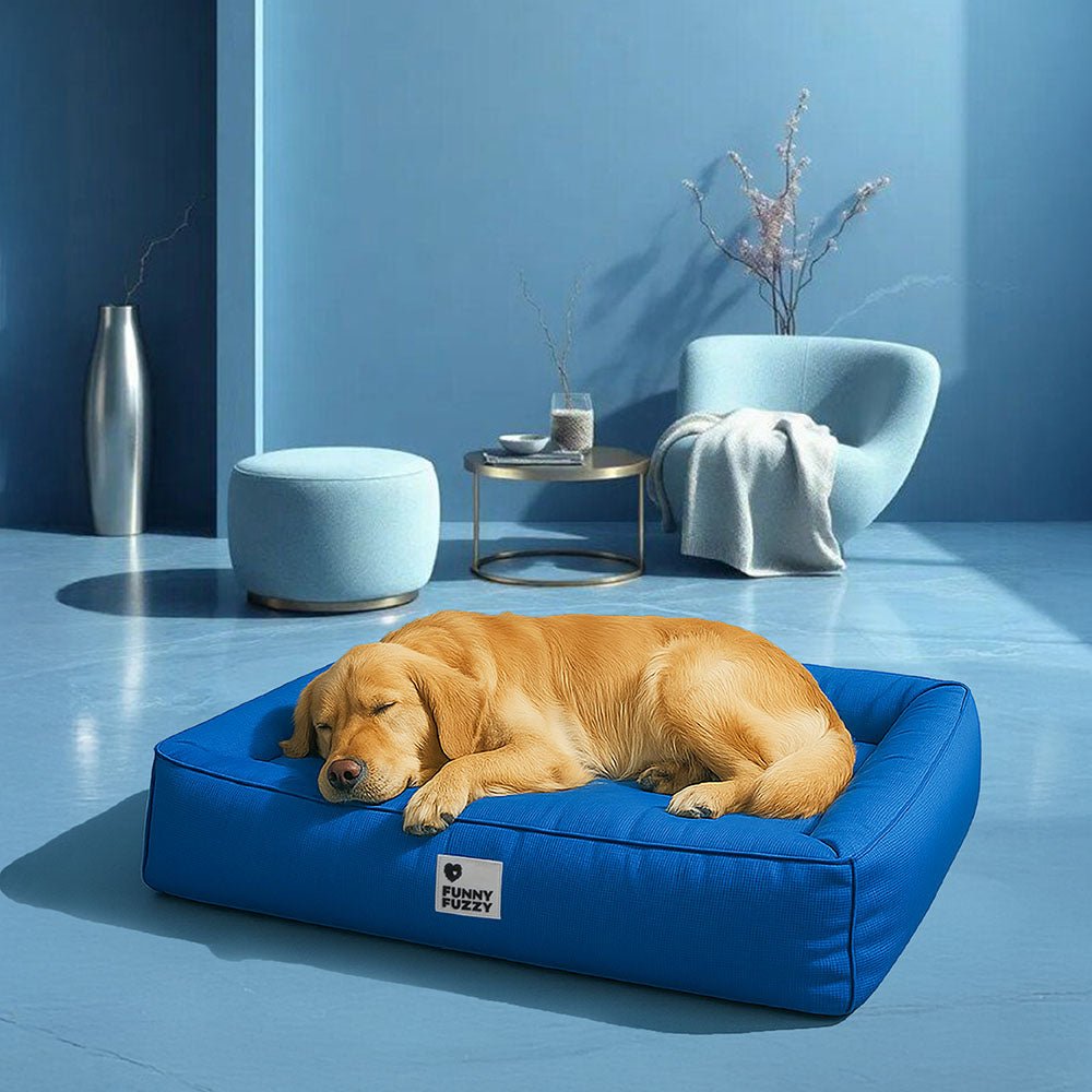 Panier orthopédique imperméable pour chien