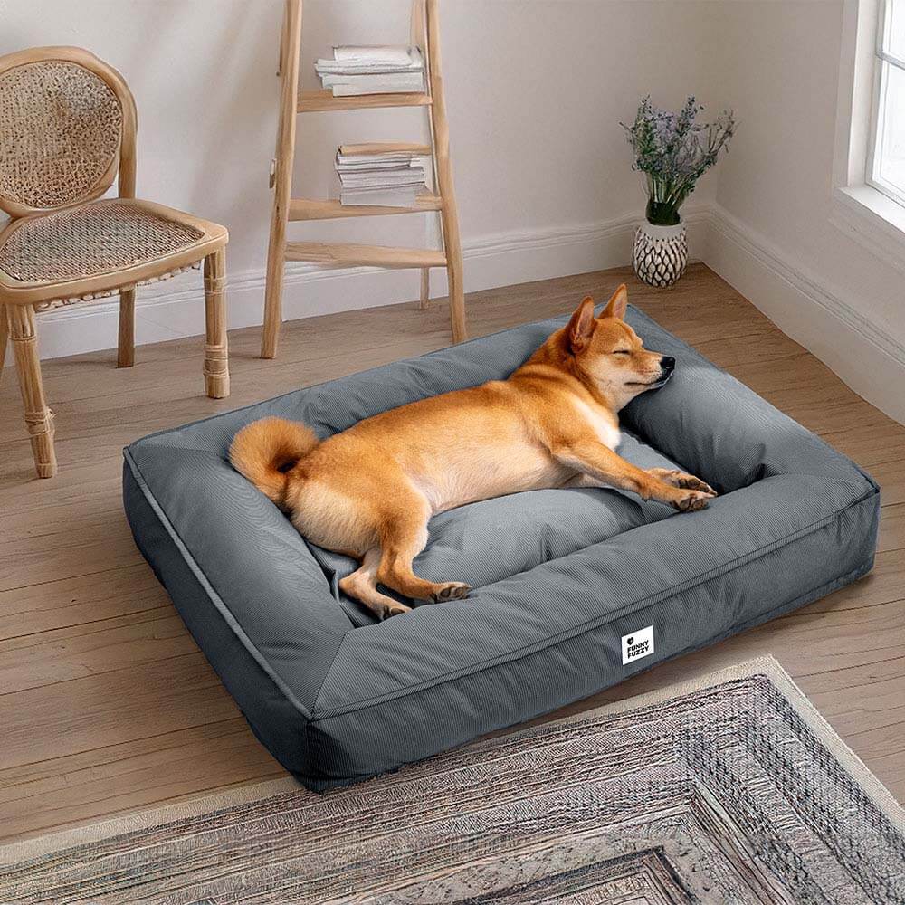 Panier orthopédique imperméable pour chien