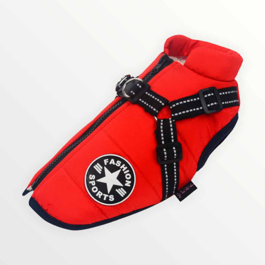 PawShield™ – The 3-in-1 Dog Jacket