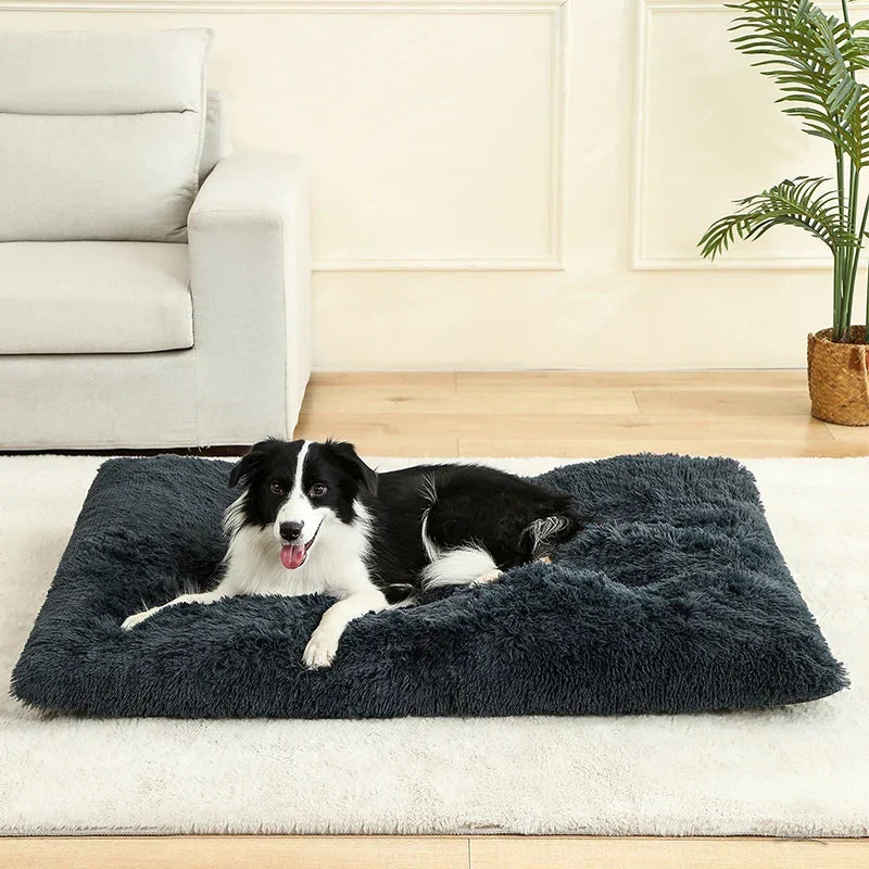 Plush Dog Bed with Non-Slip Bottom and Foldable Design